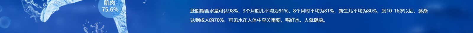 深圳网站设计公司_高端定制设计网站_营销型网站设计制作_深圳网站建设