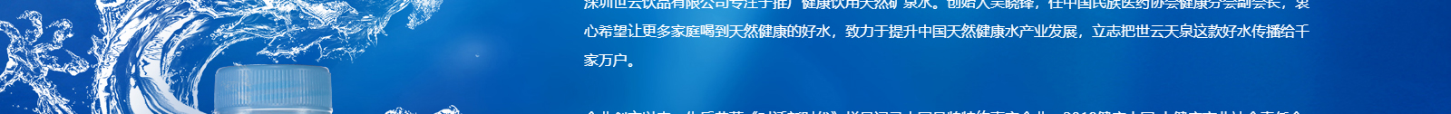 深圳网站设计公司_高端定制设计网站_营销型网站设计制作_深圳网站建设