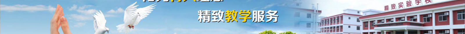 深圳网站设计公司_高端定制设计网站_营销型网站设计制作_深圳网站建设