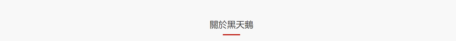 深圳网站设计公司_高端定制设计网站_营销型网站设计制作_深圳网站建设