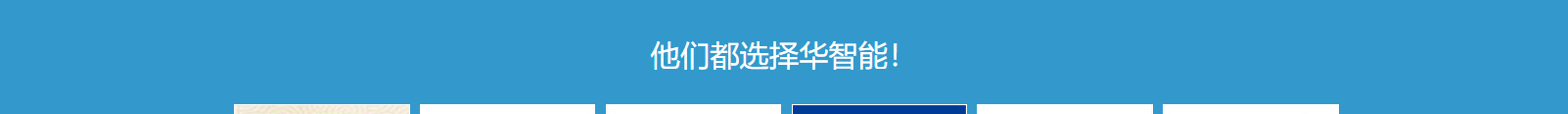 网站建设设计案例_营销型网站制作案例