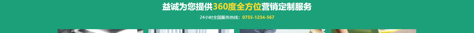 网站建设设计案例_营销型网站制作案例