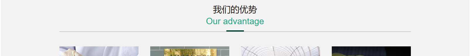 网站建设设计案例_营销型网站制作案例
