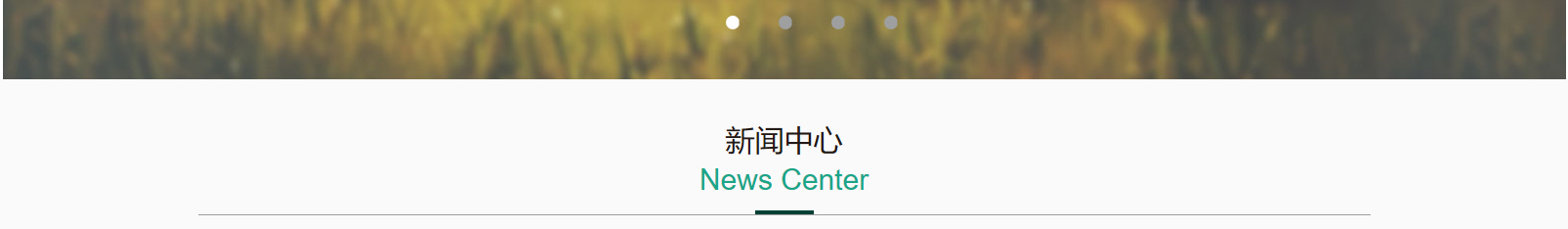 网站建设设计案例_营销型网站制作案例