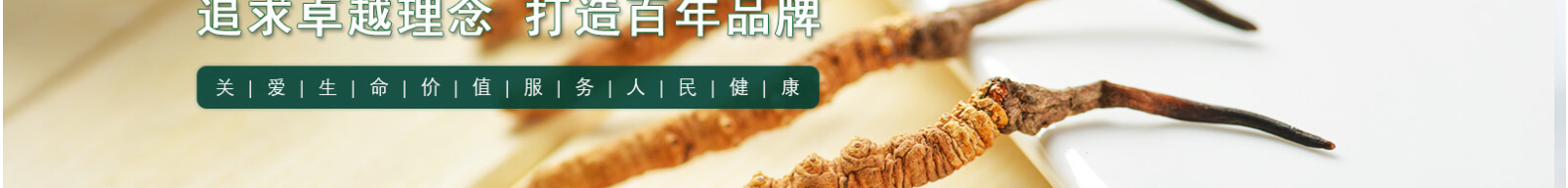 网站建设设计案例_营销型网站制作案例