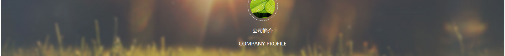 网站建设设计案例_营销型网站制作案例