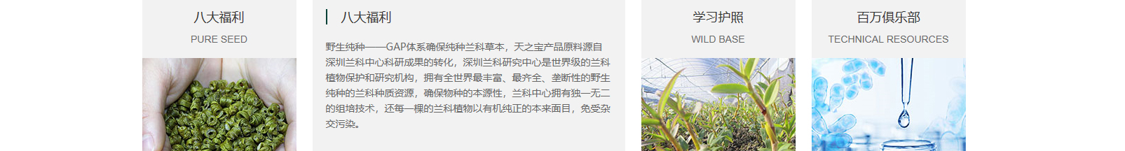网站建设设计案例_营销型网站制作案例