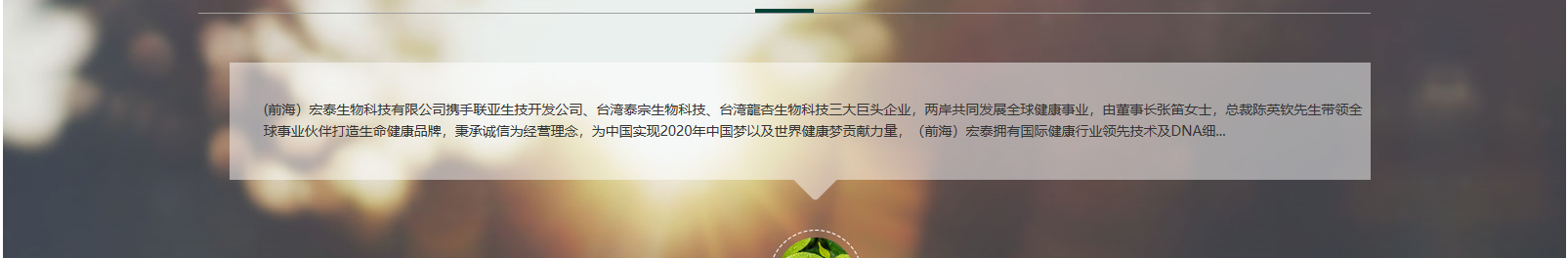 网站建设设计案例_营销型网站制作案例
