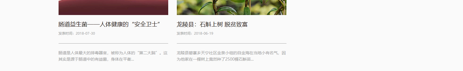 网站建设设计案例_营销型网站制作案例