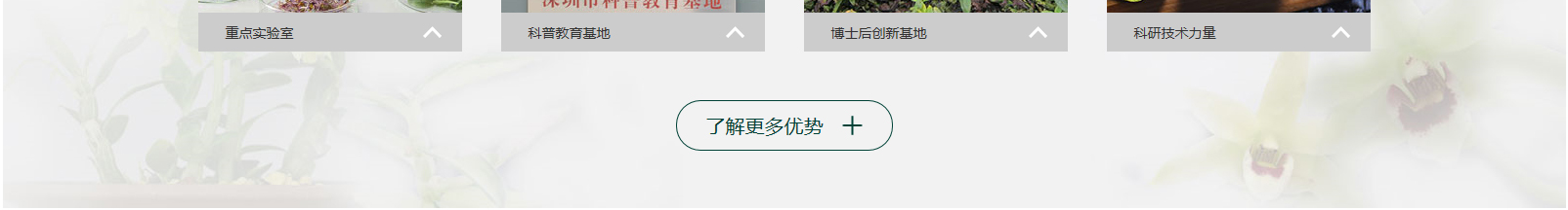 网站建设设计案例_营销型网站制作案例