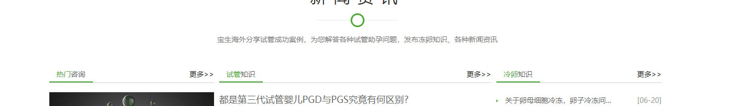 洛壹网络网站案例