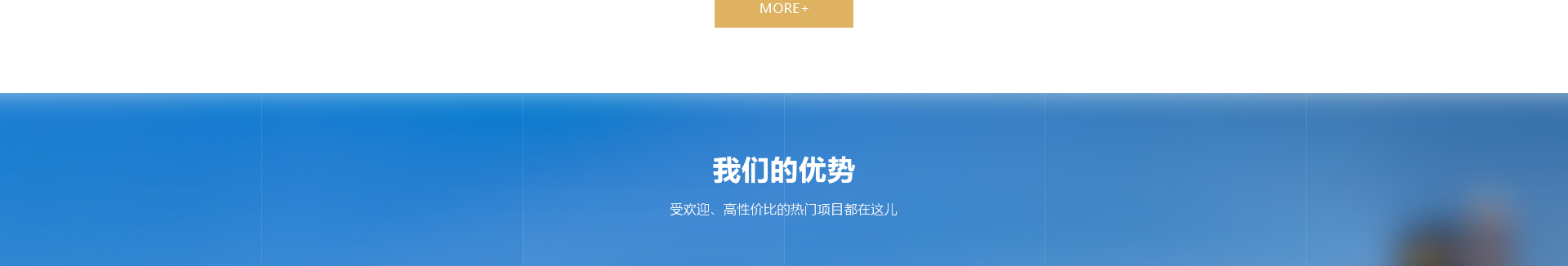 中鑫海外集团_集团网站建设案例_洛壹网络建站案例