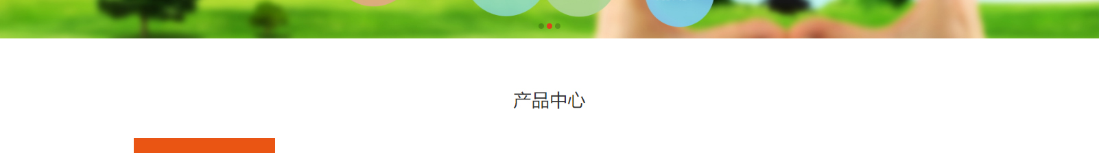 网站建设设计案例_营销型网站制作案例
