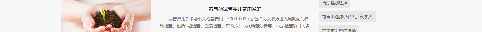 网站建设设计案例_营销型网站制作案例